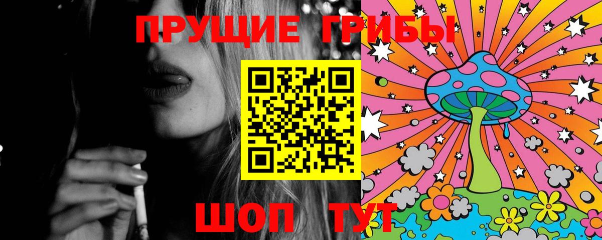 Чита  Псилоцибиновые грибы MAGIC MUSHROOMS  Вход с VPN 