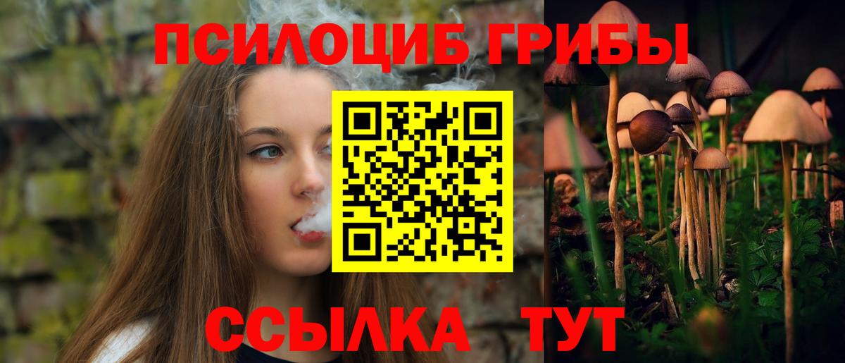 Галлюциногенные грибы GOLDEN TEACHER Чита